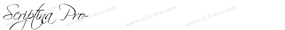 Scriptina Pro字体转换